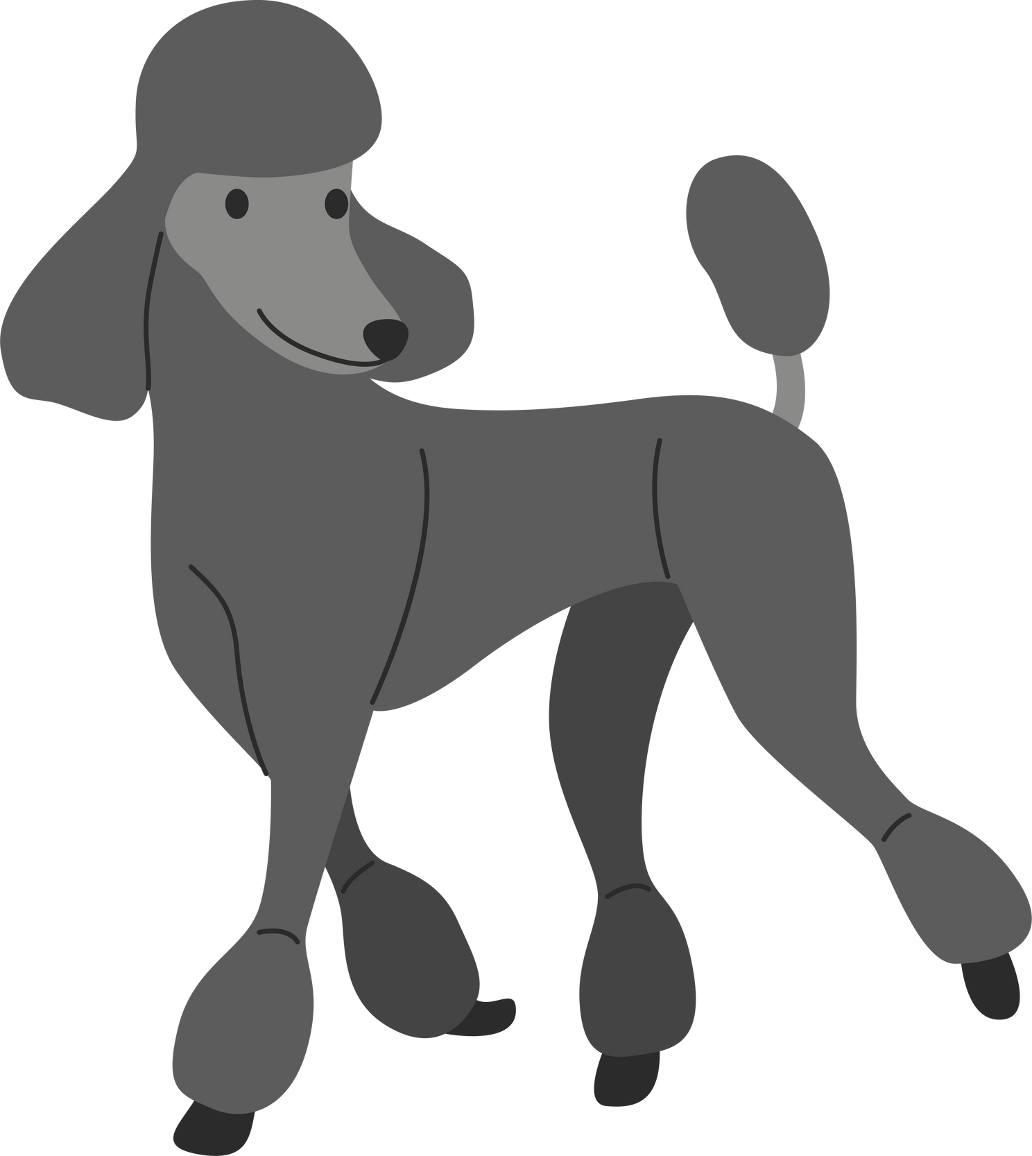 Black Poodle Illiustration